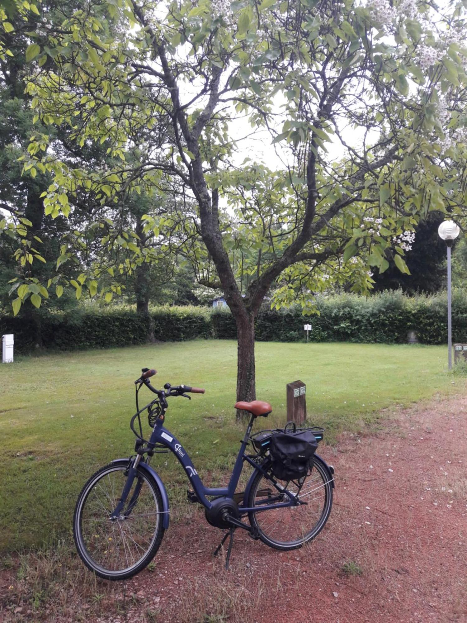 Camping Les Feuilles Chauffailles Esterno foto
